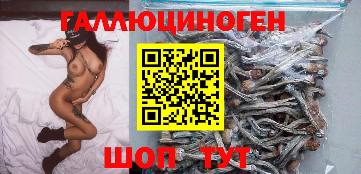 Псилоцибиновые грибы прущие грибы  Вход с VPN  Мурино 